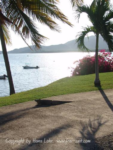 2010 Cuba, Chivirico, Hotel Brisas Sierra Mar, DSC00129b_H555